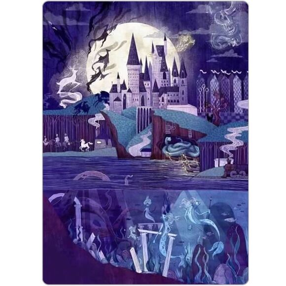 Harry Potter Hogwarts Magnet - Picture 3 of 5